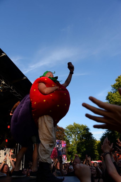 ../Images/Castlefest 2017 zondag 225.jpg